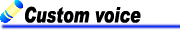 Custom Voice